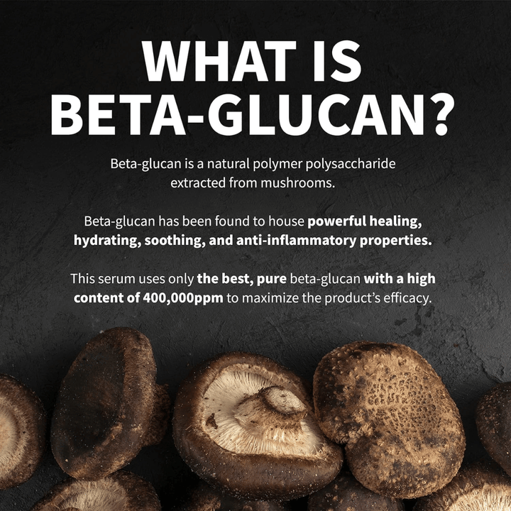 Informationsbild som förklarar vad beta-glukan är. Bilden visar svampar som råvarukälla och beskriver beta-glukan som en ingrediens med återfuktande, lugnande och hudvårdande egenskaper.