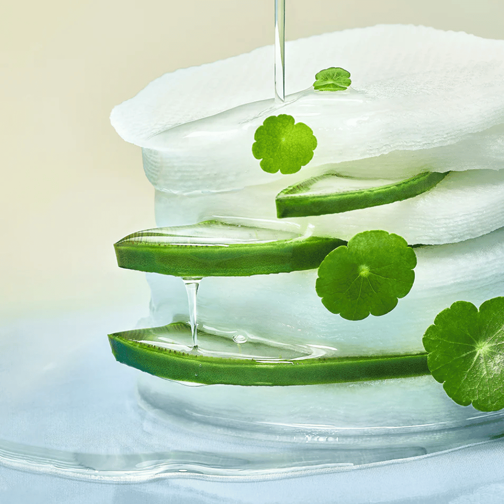 Närbild på aloe vera-skivor, återfuktande toner pads och centella asiatica-blad. Gelen droppar mellan ingredienserna för att illustrera lugnande, svalkande och återfuktande egenskaper.