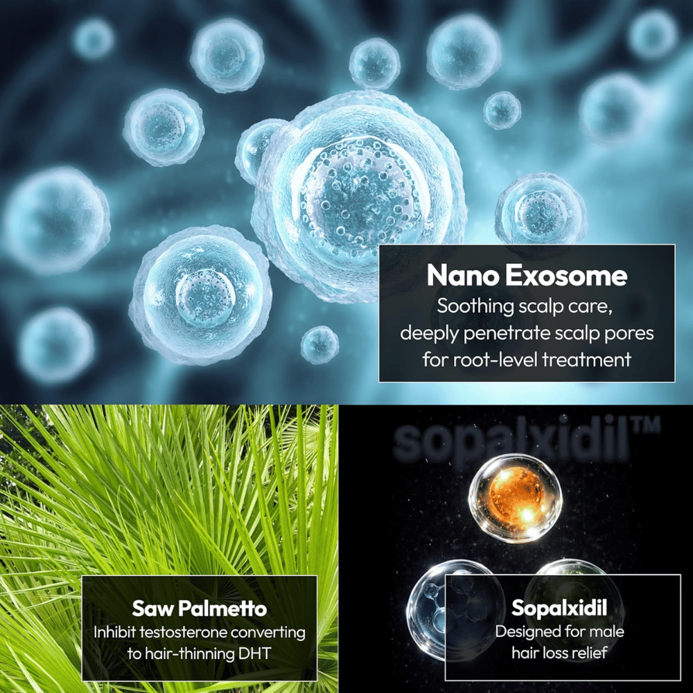 Illustration av produktens nyckelingredienser, inklusive nanoexosomer, saw palmetto och Sopalxidil™. Ingredienserna lyfts fram för att stödja hårbottenvård, minska DHT-relaterat håravfall och stärka hårets förutsättningar.