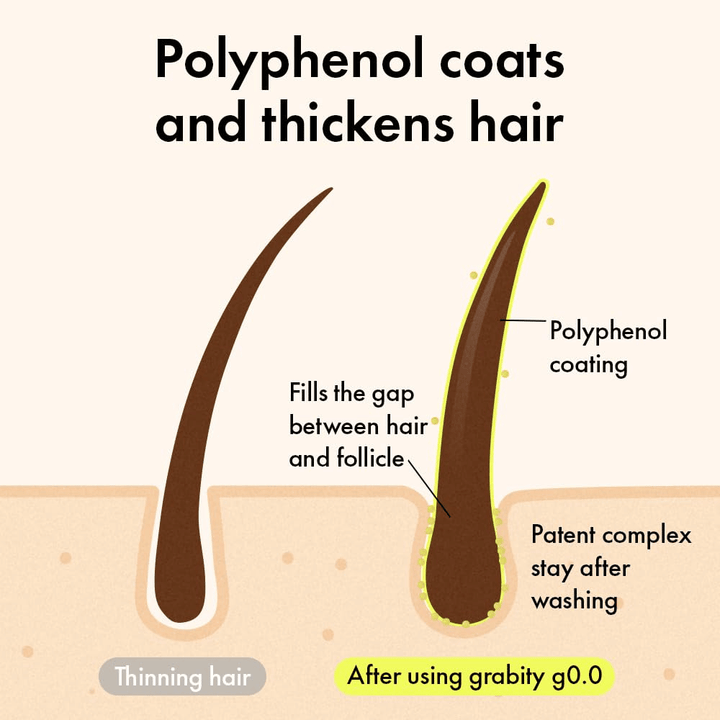 Diagram som visar hur polyfenoler omsluter hårstrået och fyller ut området kring hårsäcken för att skapa ett tjockare och fylligare utseende även efter tvätt.