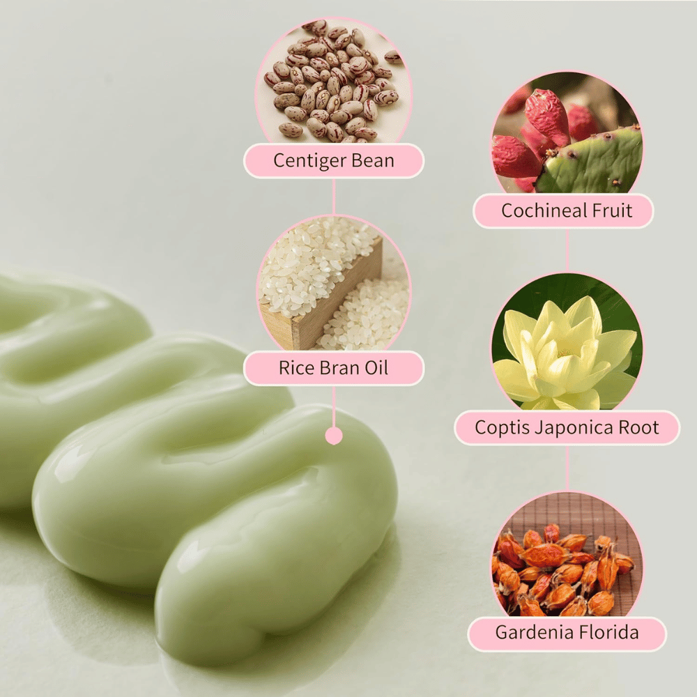 Beauty of Joseon Jello Skin Massage Cream med niacinamid, riskliolja, gardenia, coptis japonica och växtextrakt för återfuktad hud.