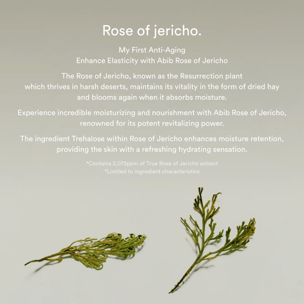 Informationsbild om Rose of Jericho-extrakt som beskriver växtens återfuktande och revitaliserande egenskaper för huden.