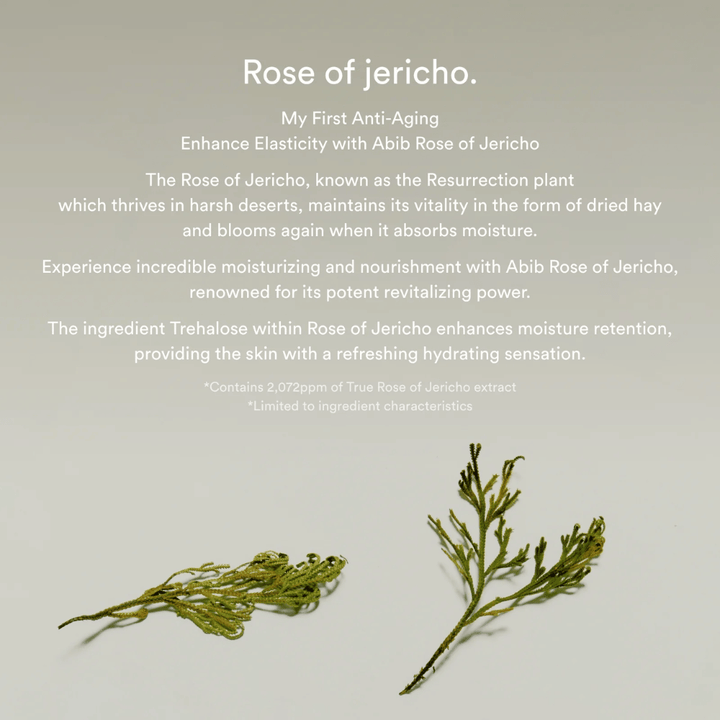 Informationsbild om Rose of Jericho-extrakt som beskriver växtens återfuktande och revitaliserande egenskaper för huden.