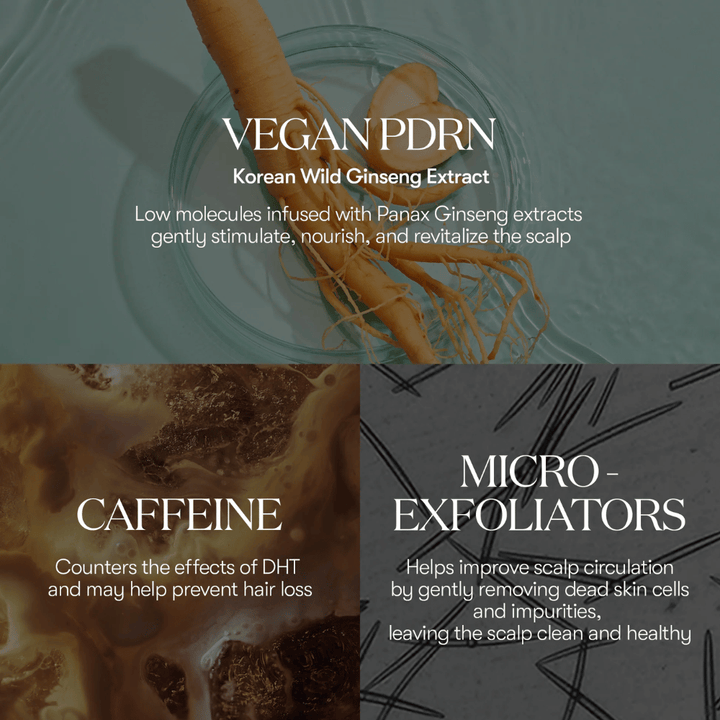 Illustration av aktiva ingredienser i PDRN Reedle Shot Hair Ampoule 100dL med vegansk PDRN från koreansk vild ginseng, koffein och mikro-exfoliatorer som vårdar och revitaliserar hårbotten.