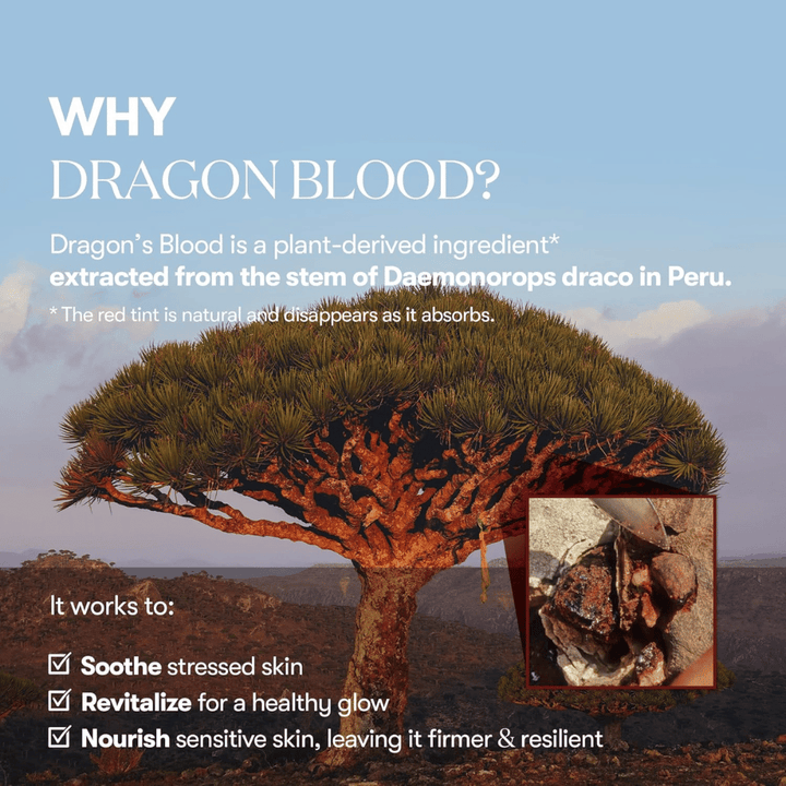 Illustration av Dragon’s Blood-trädet (Daemonorops draco) i Peru, ingrediens i VT Red Booster Reedle Shot 100 som lugnar stressad hud, stärker hudbarriären och ger en frisk lyster.