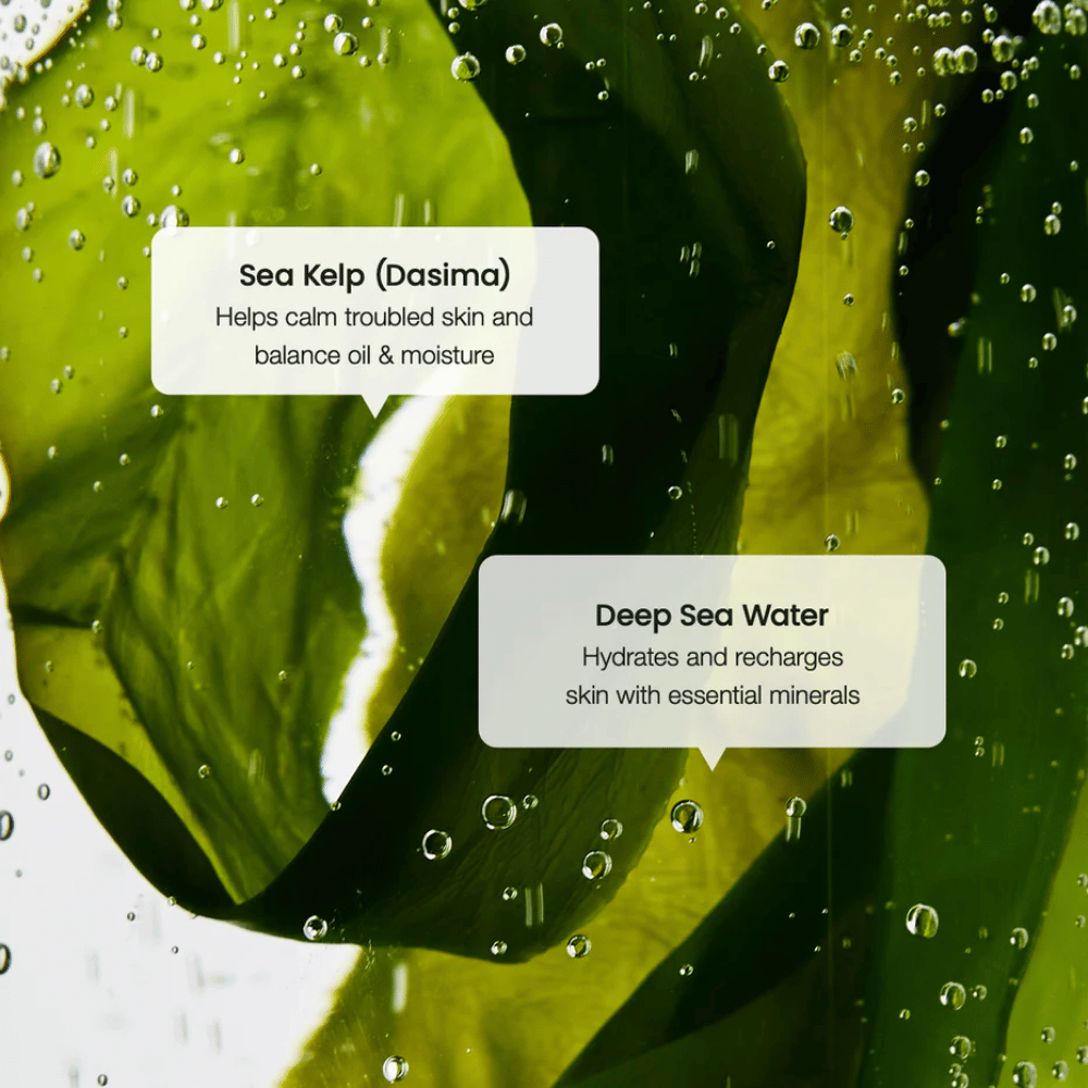 Havstångsextrakt och djuphavsvatten i Biodance Refreshing Sea Kelp Serum – återfuktar och balanserar huden.