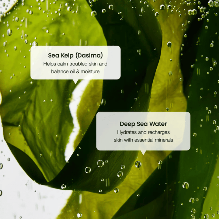 Havstångsextrakt och djuphavsvatten i Biodance Refreshing Sea Kelp Serum – återfuktar och balanserar huden.